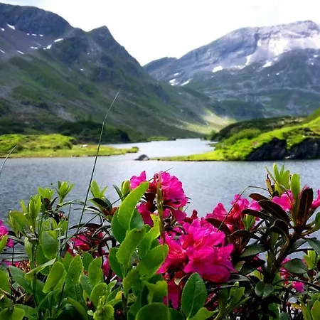 Pansiyon Luca Schladming