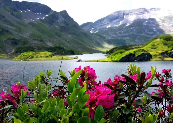 Privatunterkunft Luca Schladming